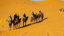 Desert adventure from Marrakech to erg chebe overnight in camp 