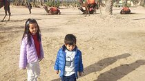 Camel Ride Experience in Marrakech Palmeraie 
