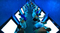 Conquest Semi Submarine & Snorkeling, Undersea Wonders - Hurghada