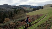 Mountain Bike Small Group Tour in San Sebastian