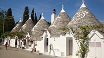 From Bari: Visit Polignano a Mare and Alberobello