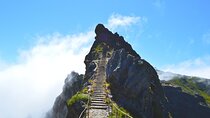 Madeira Stairway to Heaven to Larano Hike Mountain to Sea