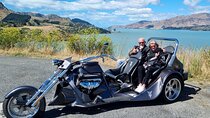 Private Cruise Ship Passengers Tour, Sightseeing in Christchurch
