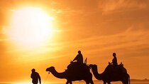 Afternoon Desert Safari Jeep and BBQ Dinner from Dubai