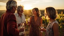 Private Sommelier Tasting Tour to Sauternes by Passport Gourmet