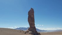 Full-Day Guided Tour to the Salt Flats Route