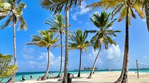 Full Day Tour to the San Blas Islands