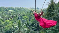 All Inclusive - Best Of Ubud Attractions 