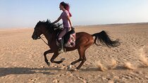 Horse Riding 2 Hours At Desert with Transfers - Sharm El Sheikh