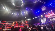 2 hours Lucha Libre Show (mexican wrestling) with transport