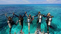 Scuba Diving Experience Tour from Side