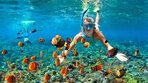 All inclusive: Blue lagoon Snorkeling & the Bats cave temple