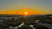Trip from Taipei to Taichung Chung She Flower and Gaomei Wetland
