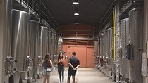 Half-day in the Médoc : 2 wineries & 6 wines