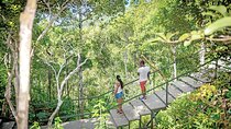EXOTIC South West Mauritius with Ebony JEEP Forest Safari & Lunch