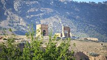 Full Day Private Guided Tour in Fes Medina
