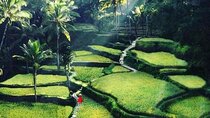 Private Customized Tour with Local Guide 