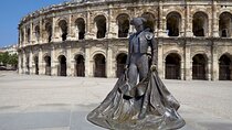 Arles and Camargue Full Day Private Tour from Marseille or Aix