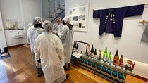 4-Hours Quick Layover Tour to Sake Brewery Gastronomy from NRT