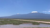 Amboseli Luxury Safari