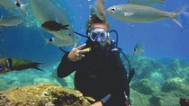 Dive into the blue, start life over again