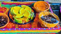 Mezcal Spirit Tasting Experience
