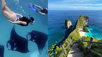 Snorkeling Nusa Penida with Manta Bay & Land Tour