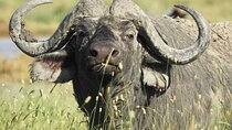 4 Day Private Tour in Tanzania
