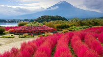 TOKYO OishiPark, Oshino & KoedoKawagoe, Mount Fuji