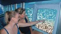  Underwater Semi-Submarine Adventure & Snorkeling - Hurghada