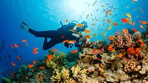 Ras Mohamed, White Island Trip, Two Stops Diving -Sharm El Sheikh