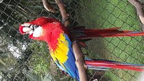 Pumas Rescue Center & Llanos Del Cortes Waterfall Swimming