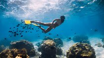 3 Pools, ATV Quad & Camel Ride in Dahab by Bus - Sharm El Sheikh