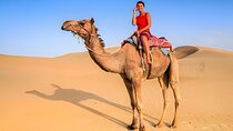 3 Pools Dahab Canyon with Lunch and Camel Ride-Sharm El Sheikh