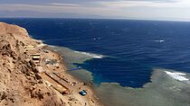 Blue Hole & Canyon By Bus with Camel & Lunch - Sharm El Sheikh 