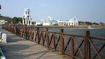Hsinchu God Temple Fish Harbor and Zoo Private Tour from Taipei