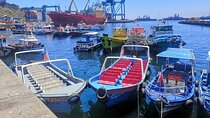 Private Valparaíso and Viña del Mar + Boat Ride + Sparkling Wine