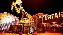 Self-Guided Private Foodie Tour in Downtown Las Vegas
