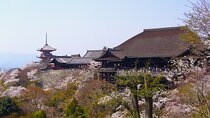 Kyoto in a Day by eBike: The Best Bits Tour (East Course)