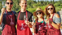 Authentic Italian Pasta Class & Lunch at Historic Tuscan Villa