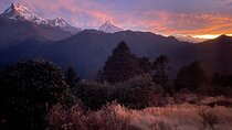 Pokhara: 4 Days Poon Hill and Ghandruk Trek 