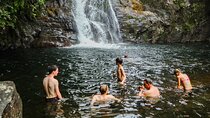 Sinharaja Rainforest Private Half Day Tour with Licensed Guide