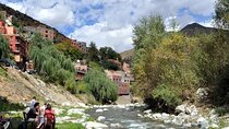Marrakech:excursion valley de l'ourika, randonnée et déjeuner 