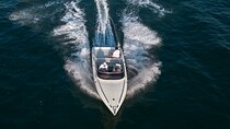 2 hours Private Boat Tour Lake Como in Bellagio