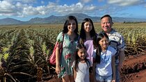 North Shore Dole Pineapple Farm Tour