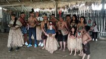 1 day jungle tour