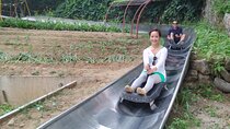 Mutianyu Great Wall Toboggan Private Trip English Speaking Driver