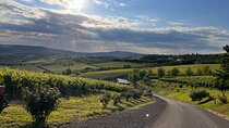 2 Day Green Hills Bike and Wine Escape Days