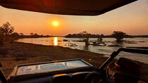 Safari Game Drive 3 Hours in Victoria Falls