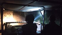 Private 4x4 Stargazing and Flashlight Experience in the Bush 
